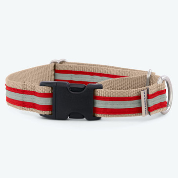 Striped webbing martingale dog collar Striped webbing martingale dog collar